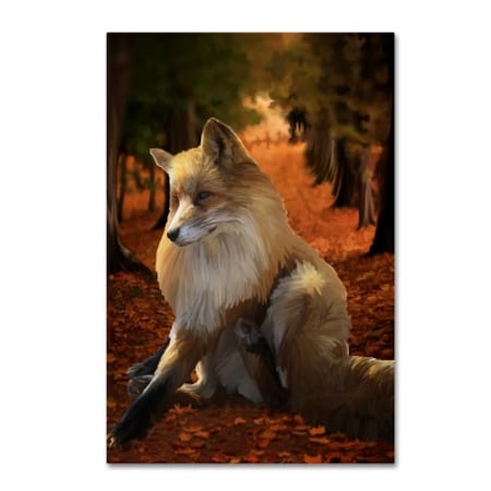 Tina Lavoie 'Fall Fox' Canvas Art,30x47